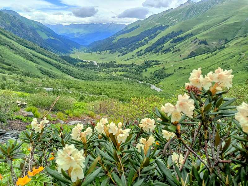 IMG20230630153513 архыз