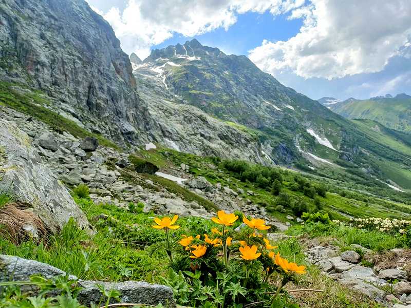 IMG20230704151046 архыз