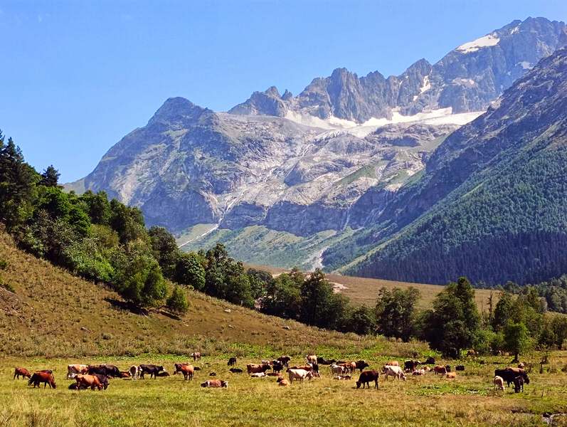 IMG20230820135031 архыз