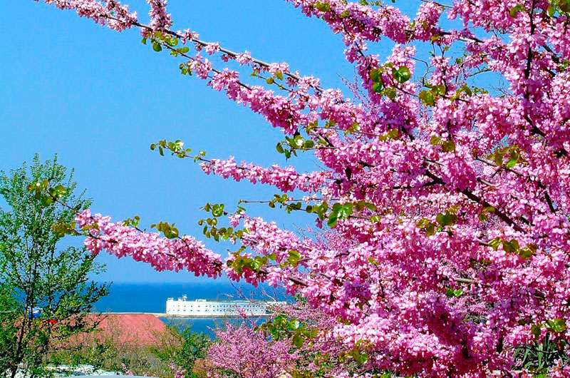 крым на майские