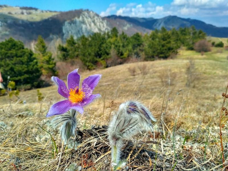В Крым с палаткой