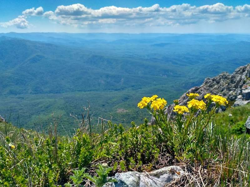 IMG 20170529 135727 HDR 002