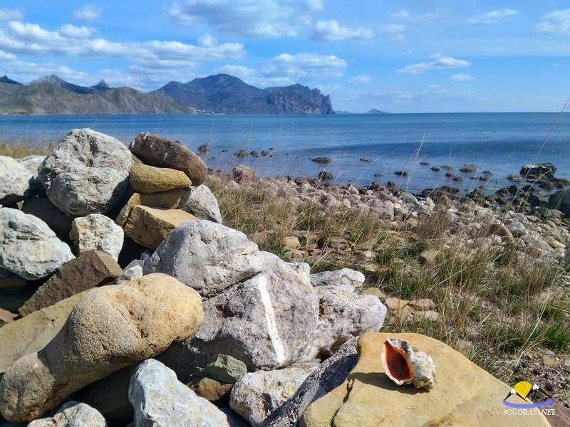 P 20160403 113758 HDR