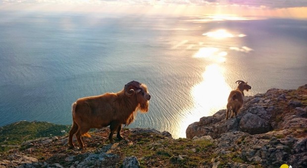 IMG 20151008 170050 620x340