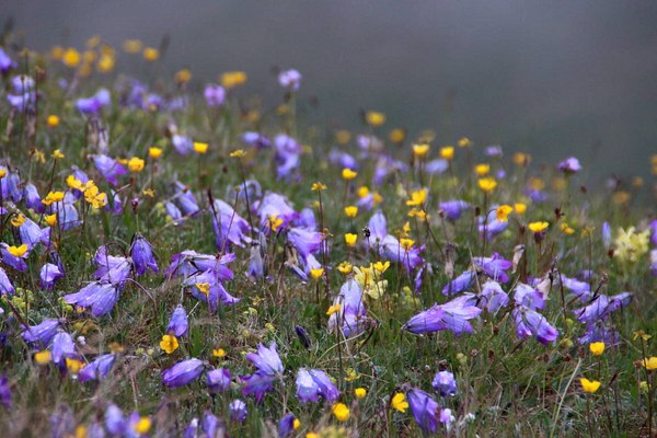 1IMG 0035 2017 06 21 Low 768