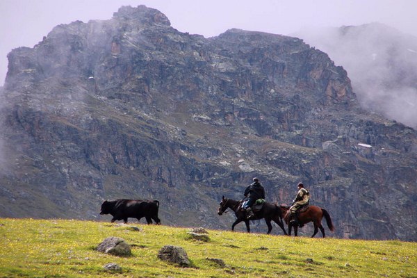 1IMG 0045 2017 06 22 low-768