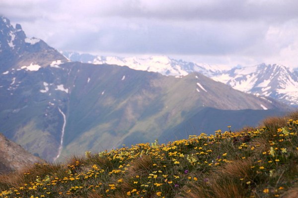 1IMG 0201 2017 06 22 Low 768