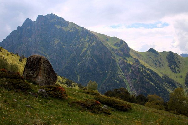 1IMG 0390 2017 06 22 Low 768