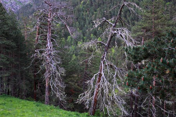 1IMG 0520 2017 06 23 Low 768