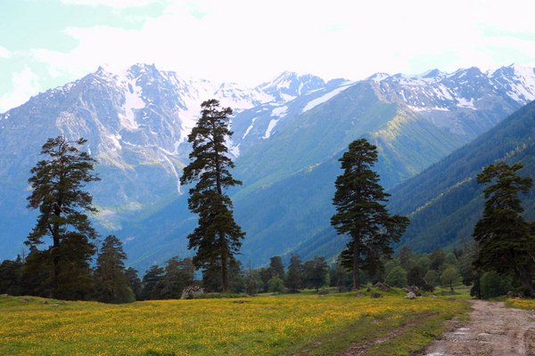 1IMG 1026 2017 06 23 Low 768